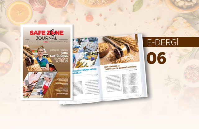 Safe Zone Journal 6. Sayı kapağı