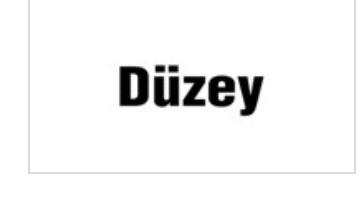 Düzey